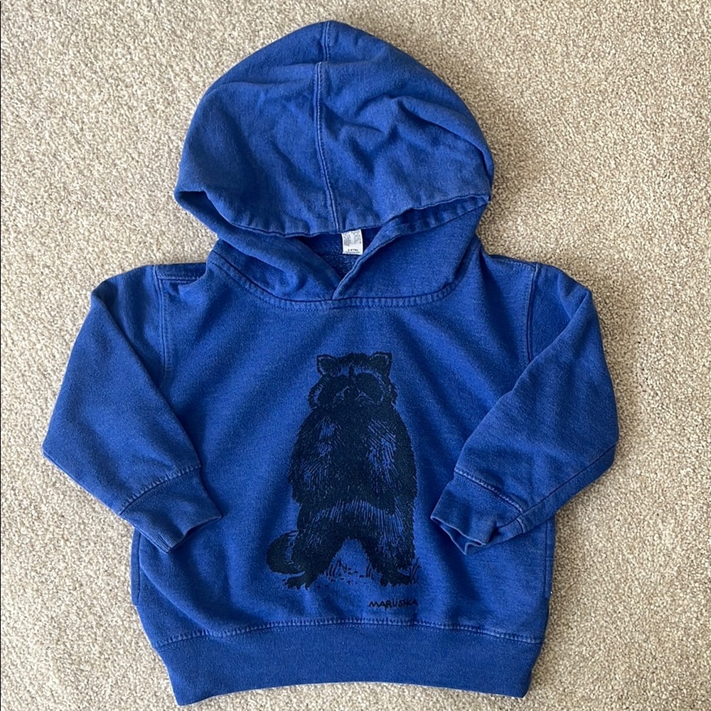 Blue Kids Hoodie with Raccoon Design